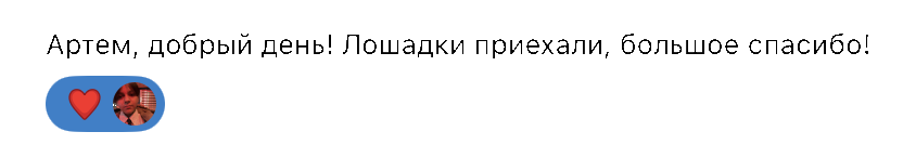 Отзыв 21
